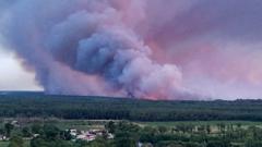 Badai Petir Api: Ancaman Baru Kebakaran Hutan yang Mematikan