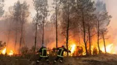 Saksi Mata Kebakaran Hutan Prancis dan Spanyol: 'Dinding Api', Ketakutan, dan Stres Landa Ribuan Pengungsi