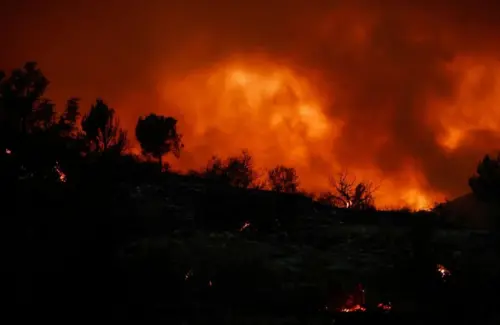 Kebakaran Hebat di Spanyol, Ribuan Mengungsi Akibat Api yang Sulit Dijinakkan