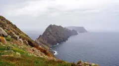 Penyelamatan 21 Siput Langka Madeira dari Pulau Terpencil Bugio