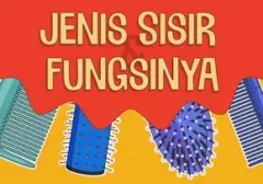 Panduan Lengkap: Mengenali Jenis Sisir dan Manfaatnya untuk Rambut