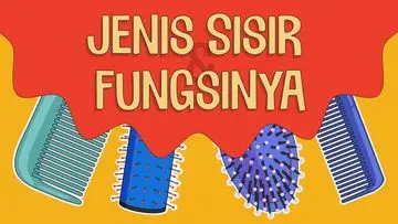 Panduan Lengkap: Mengenali Jenis Sisir dan Manfaatnya untuk Rambut