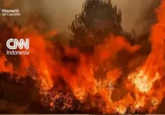 Kebakaran Luas di Spanyol Timur, 8.500 Hektare Lahan Terbakar Akibat Gelombang Panas