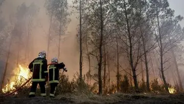 Prancis dan Spanyol Hadapi Krisis Kebakaran Hutan Terparah