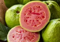 15 Pilihan Makanan Pendukung Peningkatan Trombosit