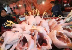 Daging Ayam Pimpin Lonjakan Harga Pangan 2024