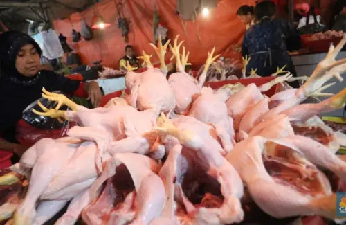 Daging Ayam Pimpin Lonjakan Harga Pangan 2024