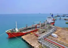 Pendapatan CDIA Melonjak 22,8% di Semester I 2026, Sektor Logistik Jadi Penopang Utama