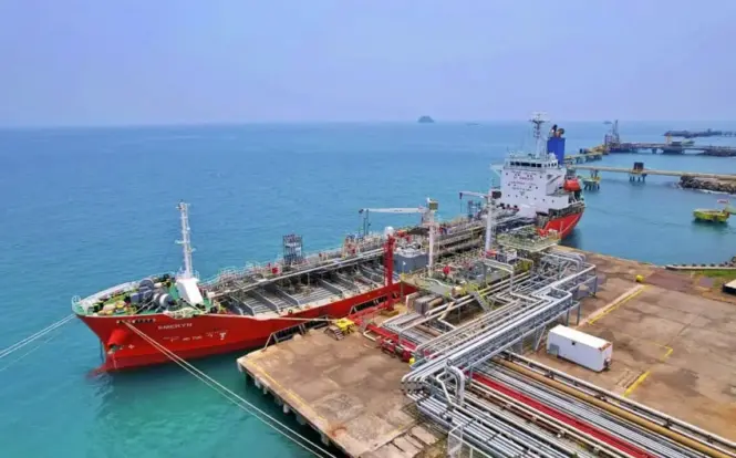 Pendapatan CDIA Melonjak 22,8% di Semester I 2026, Sektor Logistik Jadi Penopang Utama