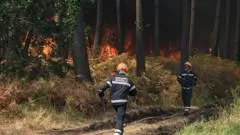 Kebakaran Hutan Prancis Membara di Tengah Gelombang Panas Ekstrem, Evakuasi Warga Terkendala