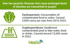 Waspada Diare Musiman: Cryptosporidiosis, Penyakit Mirip Cyclosporiasis yang Sering Muncul di Musim Panas