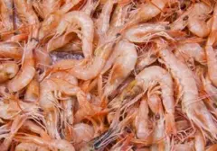 Panduan Penanganan Alergi Udang untuk Mencegah Perburukan Gejala