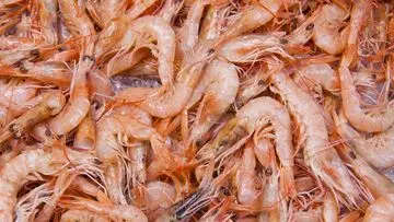 Panduan Penanganan Alergi Udang untuk Mencegah Perburukan Gejala