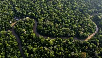 Debu Sahara: Pupuk Rahasia Hutan Amazon yang Mengejutkan