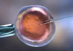 Usia Optimal Program Bayi Tabung: Kunci Keberhasilan Sebelum 35 Tahun