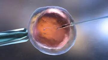 Usia Optimal Program Bayi Tabung: Kunci Keberhasilan Sebelum 35 Tahun