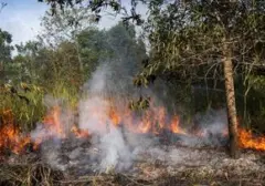 Tujuh Hektare Lahan Terbakar di Ogan Ilir, Upaya Pemadaman Berlangsung Dramatis