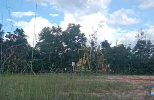 Produksi Minyak Sumatra Sumbang 200 Ribu Barel untuk Nasional