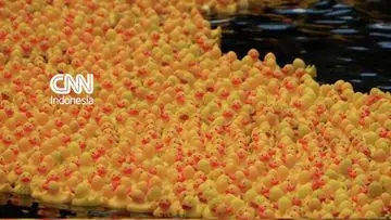 Ribuan Bebek Karet Meriahkan Lomba Tahunan di Sungai Thames