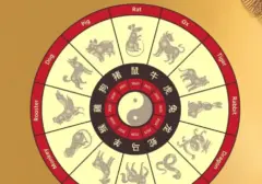 Prediksi Shio 1 Agustus 2026: Monyet, Ayam, Anjing, dan Babi Berpotensi Beruntung