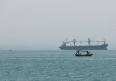 Krisis Laut Merah dan Laut Hitam: Ancaman Baru Bagi Arus Perdagangan Global
