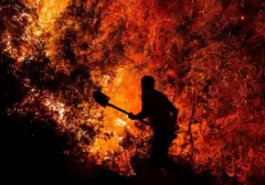 Kebakaran Hutan Turki Meluas, Ratusan Warga Terpaksa Mengungsi