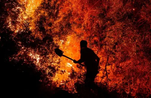 Kebakaran Hutan Turki Meluas, Ratusan Warga Terpaksa Mengungsi