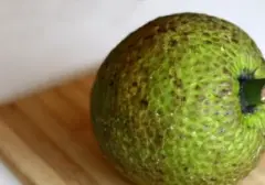 Sukun Diincar Jadi "Superfood" Unggulan Indonesia Berkat Kandungan Nutrisinya