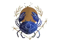 Ramalan Zodiak Cancer 1 Agustus 2026: Fokus pada Keuangan dan Hubungan