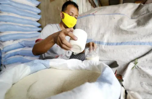Integrasi Kebun Tebu dan Gula Rafinasi: Butuh Kajian Mendalam untuk Antisipasi Dampak Investasi dan Petani