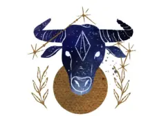 Taurus 2 Agustus 2026: Potensi Baru di Cinta, Karir, dan Finansial
