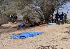 Pesawat Wisata Jatuh di Peru, 13 Orang Meninggal Dekat Nazca Lines