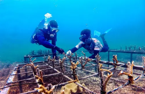 Pupuk Kaltim Wakili Indonesia di Simposium Terumbu Karang Internasional 2026
