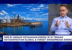 Potensi Perdagangan Karbon Indonesia Dilirik Raksasa Teknologi Global