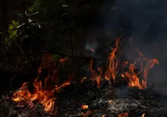 Dua Helikopter Pemadam Kebakaran Jatuh Akibat Tabrakan di Yunani