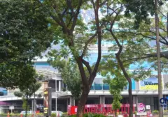Misteri Hilangnya Pagar Besi 2,5 Meter di Mal Kota Kasablanka
