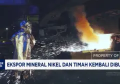 Indonesia Buka Kembali Ekspor Nikel dan Timah Pasca Larangan