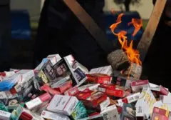 Ekonom Desak Pemberantasan Rokok Ilegal untuk Jaga Anggaran Negara