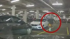 Adu Cepat Polisi dan Pelaku di Queensland Berakhir dengan Dua Penangkapan