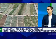 Inovasi Benih Unggul Pikat Generasi Muda ke Sektor Hortikultura