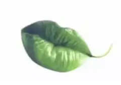 Tes Ilusi Optik TikTok: Bibir atau Daun, Ungkap Sifat Keras Kepala atau Pemaaf?