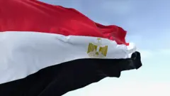 Sindikat Penipu Berkedok Hakim Diduga Beraksi di Mesir, Sejumlah Orang Ditangkap