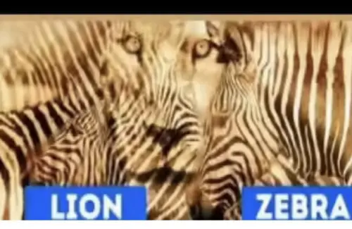 Tes Ilusi Optik: Persepsi Gambar Singa atau Zebra Ungkap Sifat Kepribadian