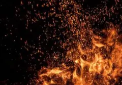 Gudang Buku Picu Kebakaran di SDN 04 Srengseng Sawah, 17 Armada Damkar Dikerahkan