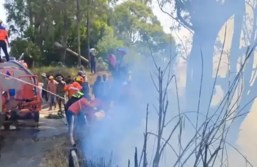 Kebakaran Lahan Gunung Bromo Masuk Hari Keempat, BNPB Kerahkan Helikopter untuk Pemadaman