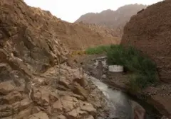 Wadi Wurayah Fujairah Dinobatkan UNESCO Jadi Situs Warisan Alam Pertama UEA