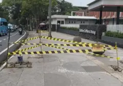 Pohon Peneduh di Simpang Riau-Cihapit Bandung Ditebang, ASN Diduga Terlibat
