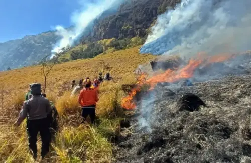 Kebakaran Melanda Bromo: 70 Hektare Lahan Hangus, Api Lumat Cemara dan Semak Belukar