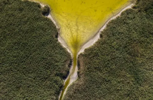 Danau Velence Hungaria Menyusut Drastis, Ancaman Kekeringan Makin Nyata
