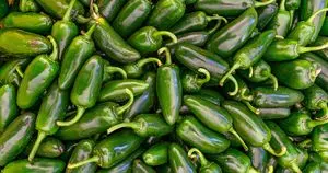 Ratusan Orang di AS Terjangkit Salmonella Diduga Akibat Cabai Jalapeño Impor Meksiko